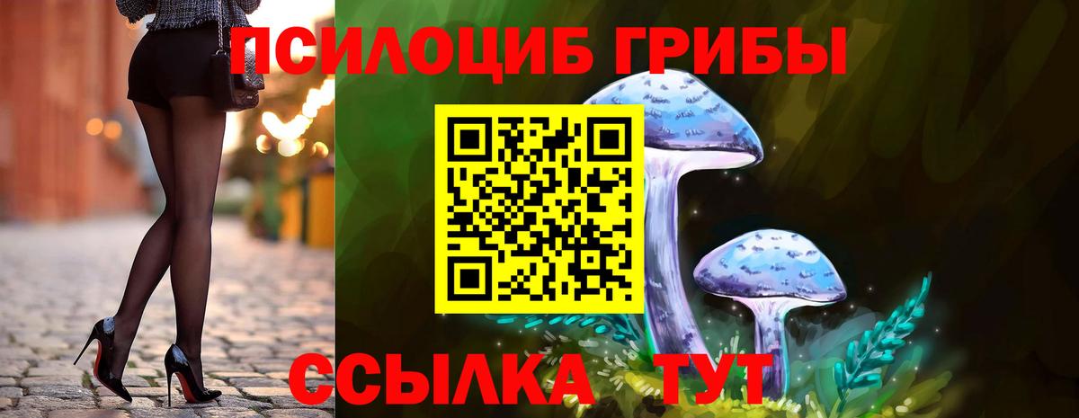 Егорьевск  Галлюциногенные грибы Psilocybe  Вход с VPN 